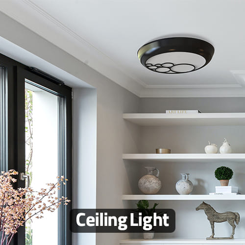 ceiling light sn103